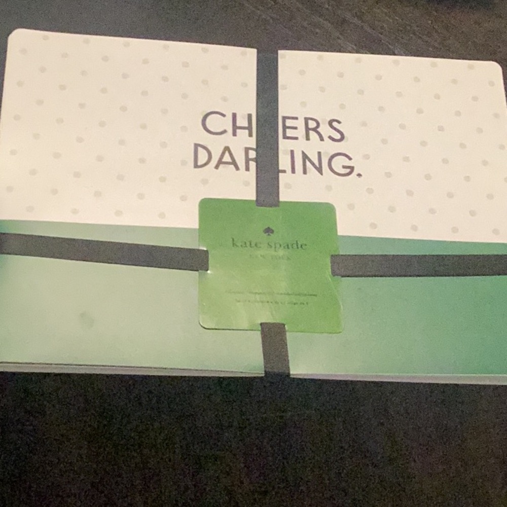 NWT Kate Spade Green and White Holiday Placemat Set of 4 “Cheers Darling”